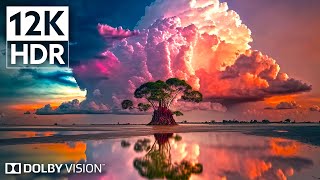 Dolby Vision 12K HDR 240fps | Experience the Unbelievable Nature  [ 8K Earth ]