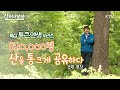 (살어리랏다4) 82만 평(2,700,000 제곱미터) 산을 통 크~~~게 모두에게 공유합니다!! (통큰 인생 시리즈1화, 강원도 평창, 박정희)