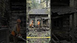 40-year abandoned forest cabin transformed into an aesthetic dream. #restoration