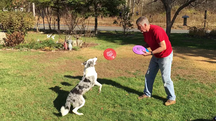 Ed Jakubowski and Deacon showing how to start a do...