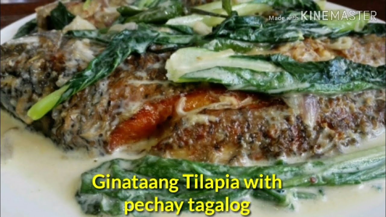 Ginataang Tilapia with pechay tagalog my own version YouTube