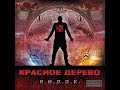 Красное дерево - К.И.Д.О.К. (альбом).