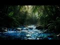 Raindrops Landing on Slow Moving Current - Nature's Lullaby Sound