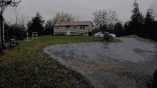 rainy driveway