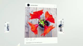 Instagram Slideshow - After Effects Template