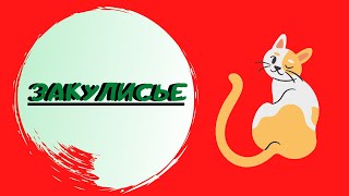 инвалидная коляска для кота инвалидная коляска для кота