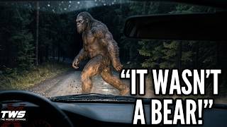 Terrifying Connecticut Bigfoot Encounter: The Voluntown Sighting THE WEEKLY STRANGE Episode 122