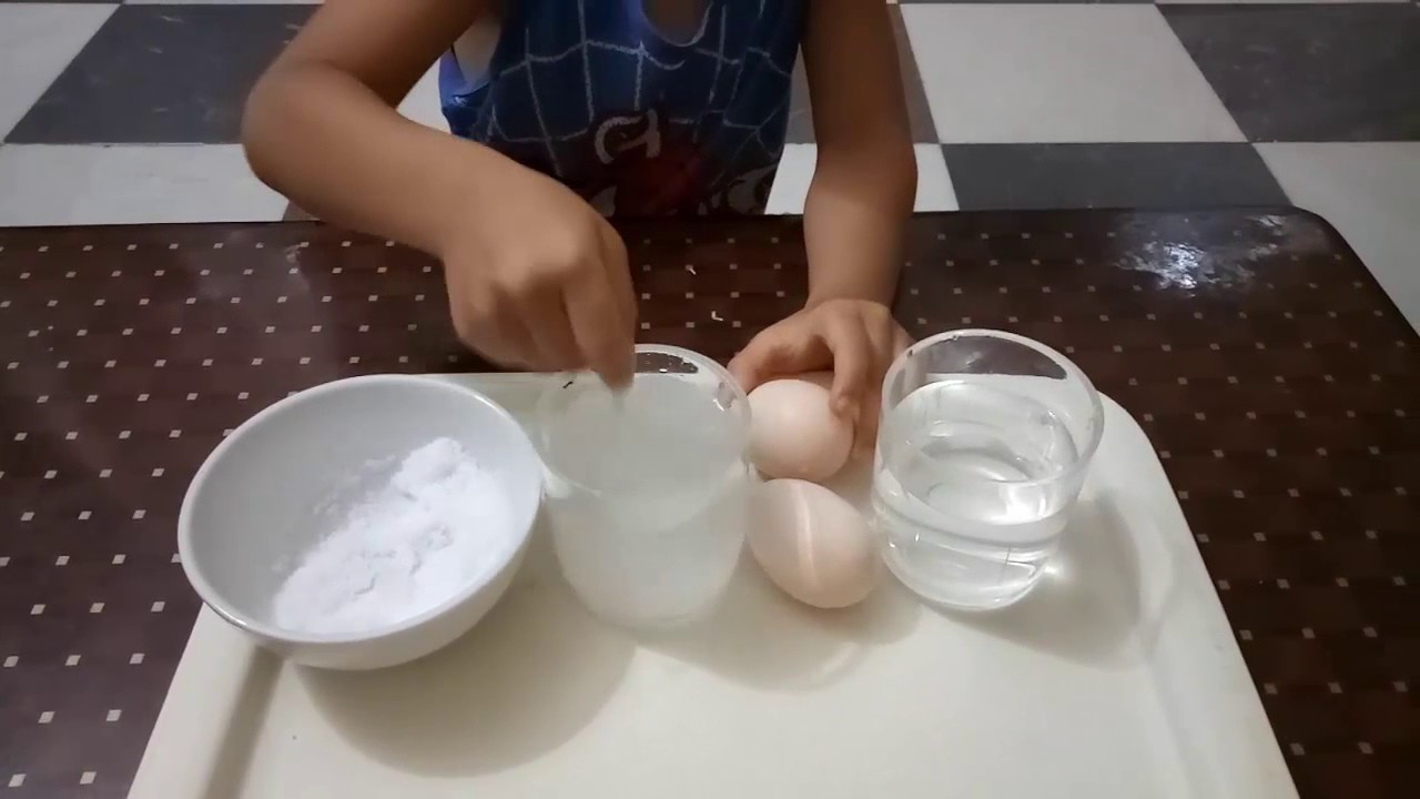 Science experiment with eggs/ Floating eggs sunken eggs/science for