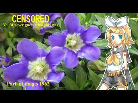 【Kagamine Rin】おはなしゆびさん 1962；Talking fingers 1962【Vocaloid 5】鏡音リン
