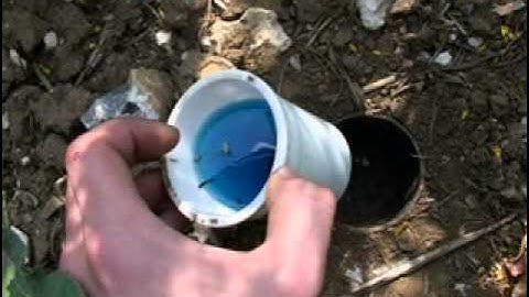 Ecology - The Pitfall Trap