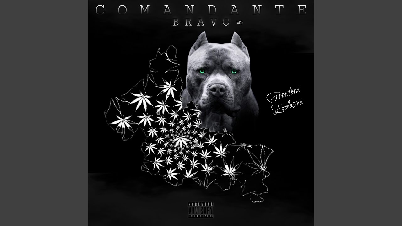 COMANDANTE BRAVO V10