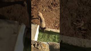 Allah Kimseyi Susuz Bırakmasın..