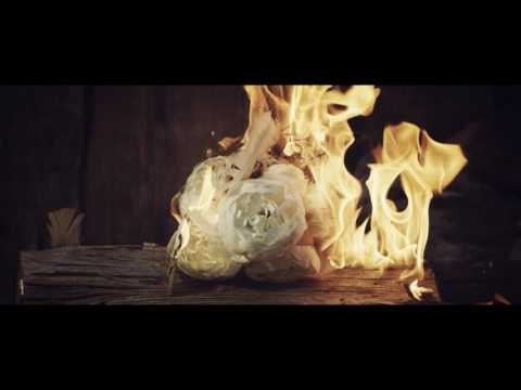 Norma Jean - Synthetic Sun