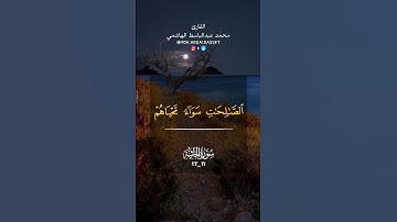 #قرآن #قران_كريم #quranvideo #quran #quran_tilawat #تلاوات #القارئ #الشيخ #محمد #عبدالباسط #الهاشمي