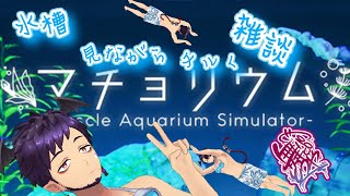 【 #雑談 #マチョリウム 】やっぱ水槽っていいよな、癒される【舞パピとうや/インキュバスVTuber】