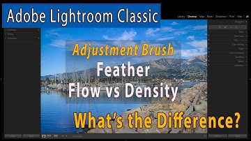 Difference Between Brush Feather, Flow and Density in Lightroom Classic