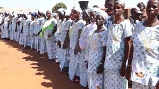 Agriculture / Dianra : Les femmes se mobilisent pour la production vivrière