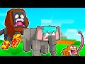 Civilização dos ANIMAIS no Minecraft!