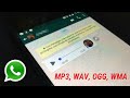 Audios Whatsapp a MP3 - Conversor todos audios