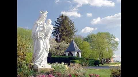 The First Sunday of Advent - November 30, 2025