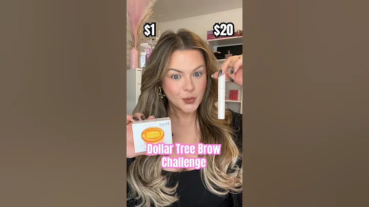 DOLLAR TREE BROW CHALLENGE!💸#makeup #dollartree #brows