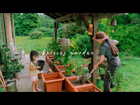 #136 Growing Berries in Containers & Garden | Baking & Cooking with Berries 🍓🍒