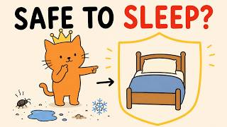 The Weird Reason Humans Sleep in Beds