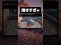 強風でハヤブサのラッキー拝めたwww #tiktok #tiktokvideo #memes #shorts #おもしろ #おすすめ #ハヤブサ #鳥 #ハプニング #強風豪雨