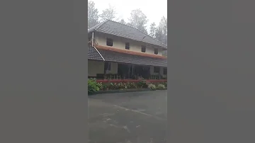 Malenadu Rain Chikkamagaluru Karnataka 