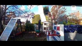 Palm Box Washingtonia Robusta, Nov 1St 2025