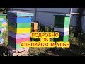 ПОДРОБНО ОБ #АЛЬПИЙСКИХ УЛЬЯХ