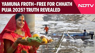 Chhath Puja On Yamuna | Yamuna Froth-Free for Chhath Puja 2025? Experts & Devotees Reveal the Truth