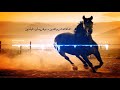 حماة الدار والدين وفرسان الميادينvia Torchbrowser Com حماة الدار والدين وفرسان الميادينvia Torchbrowser Com