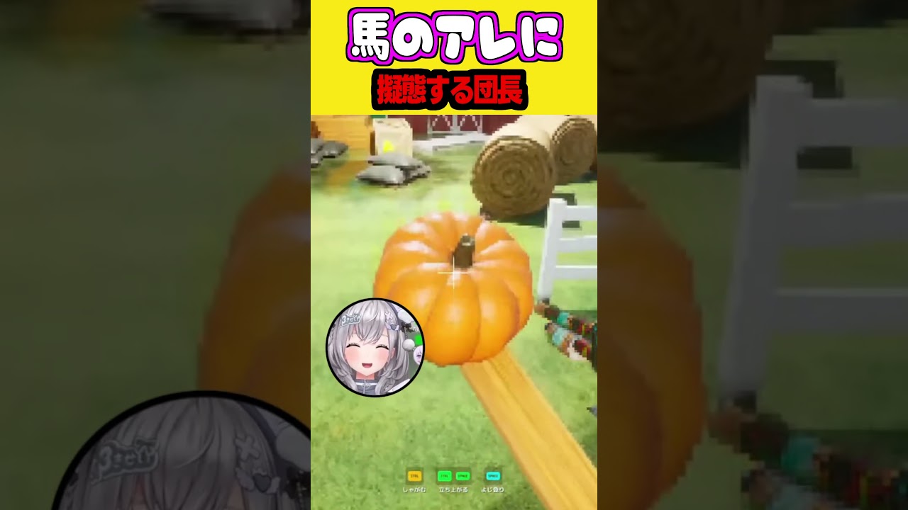 馬のアレに擬態して、ピュアなスバルに問い詰められる団長w【白銀ノエル/大空スバル/猫又おかゆ/ホロライブ/切り抜き】 #切り抜き #vtuber #白銀ノエル