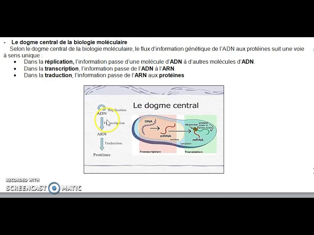 génétique chapitre 02 la réplication de l'ADN