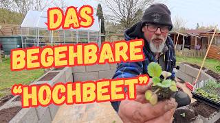 Das begehbare "Hochbeet" / Lichtleiter und Dunkelkeimer erkennen / Liebstöckel umpflanzen