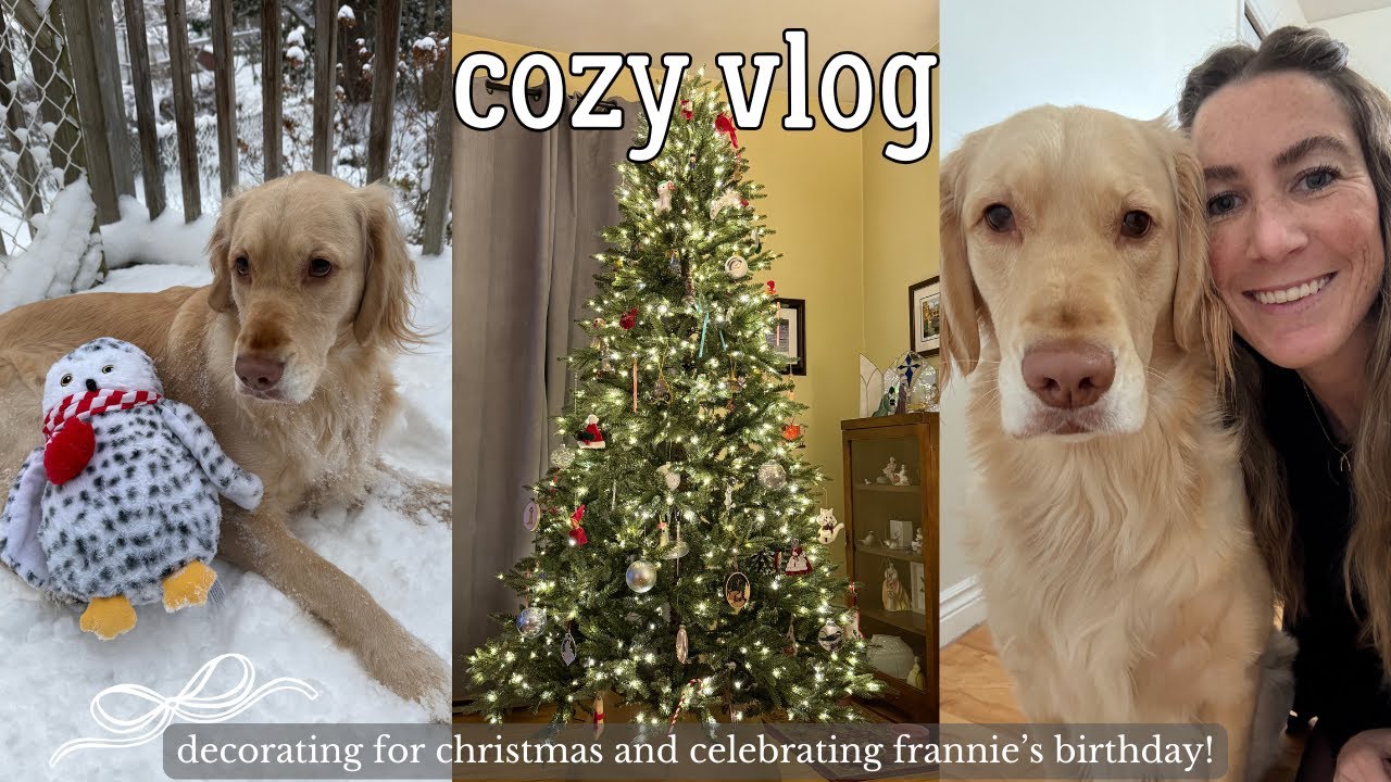 Уютный видеоблог 🧸☁️: украшаем дом к Рождеству и празднуем второй день рождения Фрэнни, ✨❤️