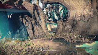 Destiny Voidwalker Rumble