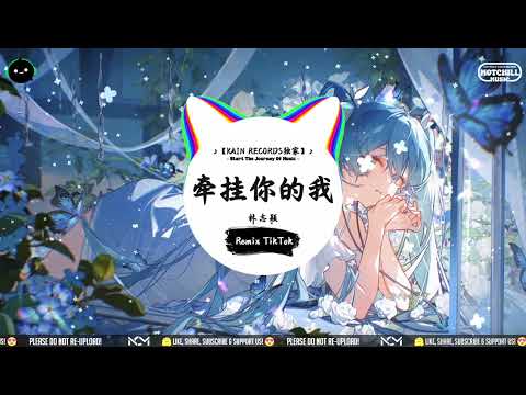 牵挂你的我  (抖音DJ版) - 林志颖 ♪『大风它吹进了我想要安静的地方，白浪偷偷地翻阅了我心中深藏的过往。』【動態歌詞MV】♪