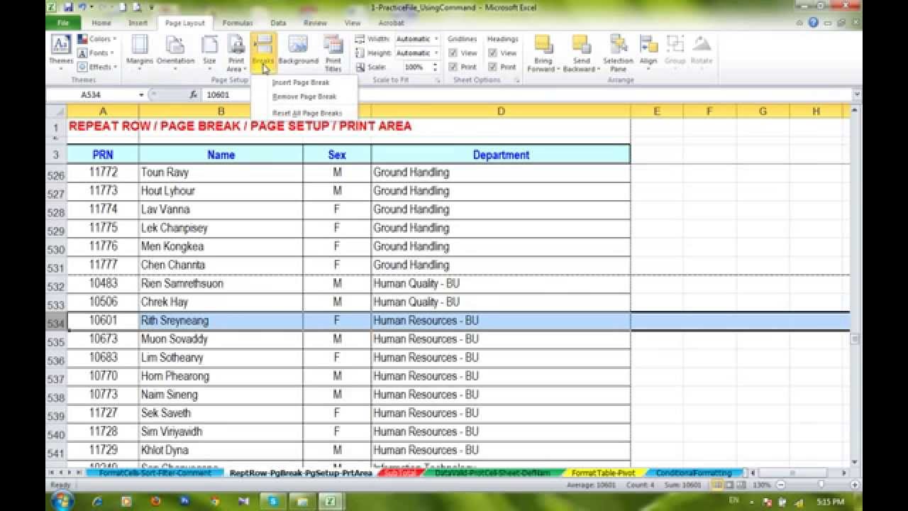 how to insert page breaks in excel