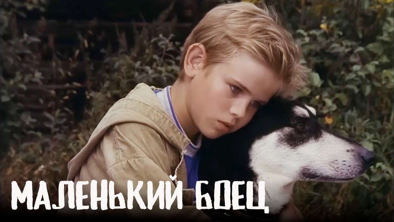 Замечательный советский фильм о мальчике и собаке | МАЛЕНЬКИЙ БОЕЦ фильм драма
