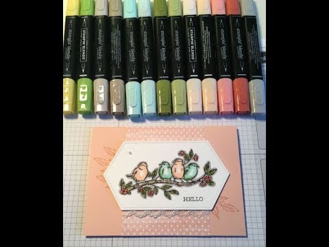 Colouring the birds from Stampin’ Up! Free As A Bird. - YouTube
