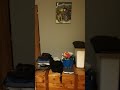 im so short #trending #trendingshorts #viralshorts