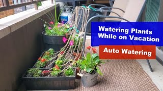 How to Water Plants while on Vacation  Simple Automatic Watering