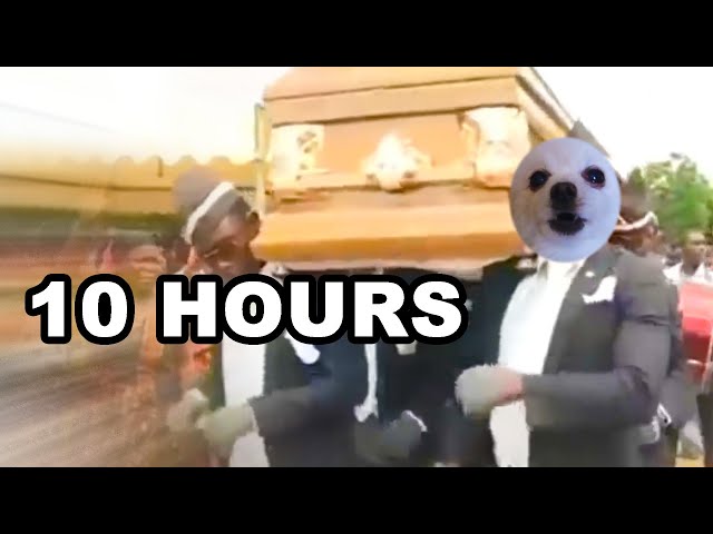 Coffin Dance Meme Gabe The Dog Version 10 Hours Youtube - roblox memes 10 hours