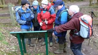 13 02 21 Alvanley Walk