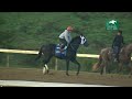 Bentornato works at Keeneland - October 11, 2025