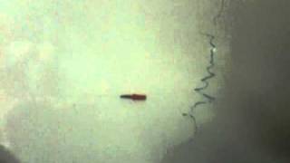 Is This Nibiru Planet X