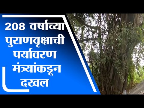 Nagpur | नागपुरातील 208 वर्षे जुन्या पुराणवृक्षाची Aaditya Thackeray यांनी घेतली दखल - tv9