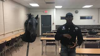 Equine Nutrition Performance Maintenance Horse Requirements Project SD 480p